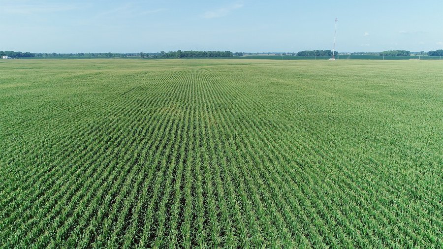 LAND AUCTION - 118.5+/- ACRES IN 3 TRACTS IN BENTON & BOONE COUNTIES, INDIANA